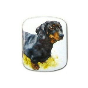 Blikken doosje dachshund