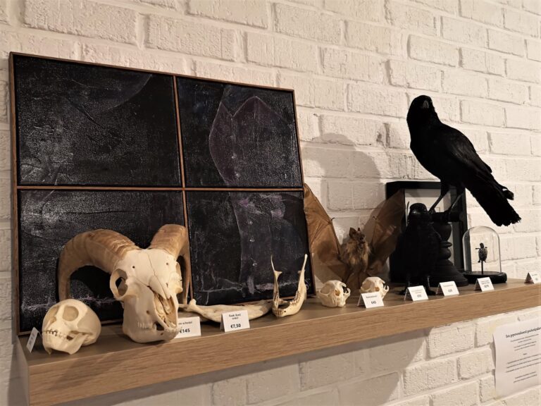 Schilderijen te koop