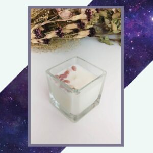 Silver Rune Crafts Strawberry Champagne kleine vierkante raapzaadwas kaars