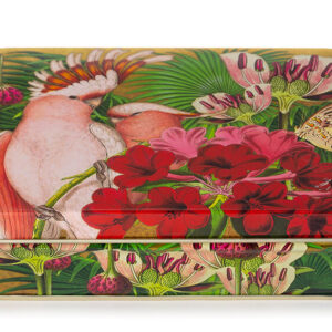 Madame Treacle papegaai blikken doos