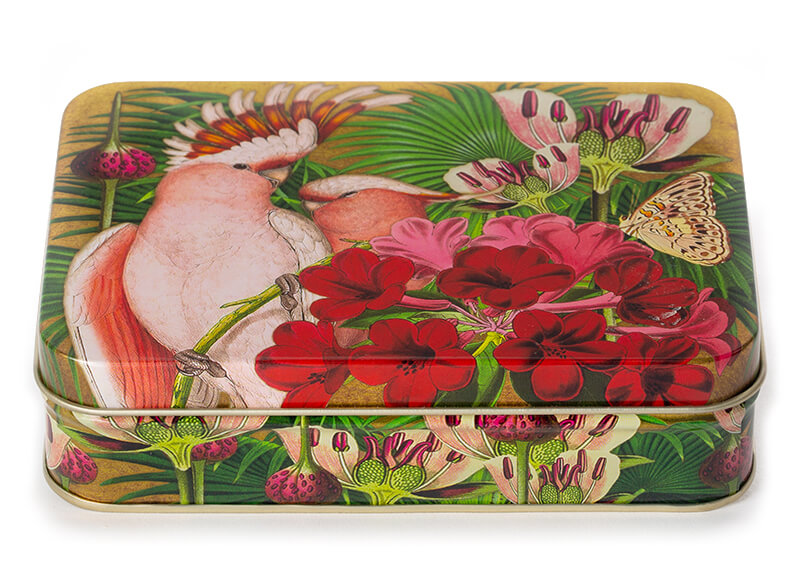 Madame Treacle papegaai blikken doos