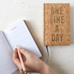 Eén zin per dag dagboek (kurk)