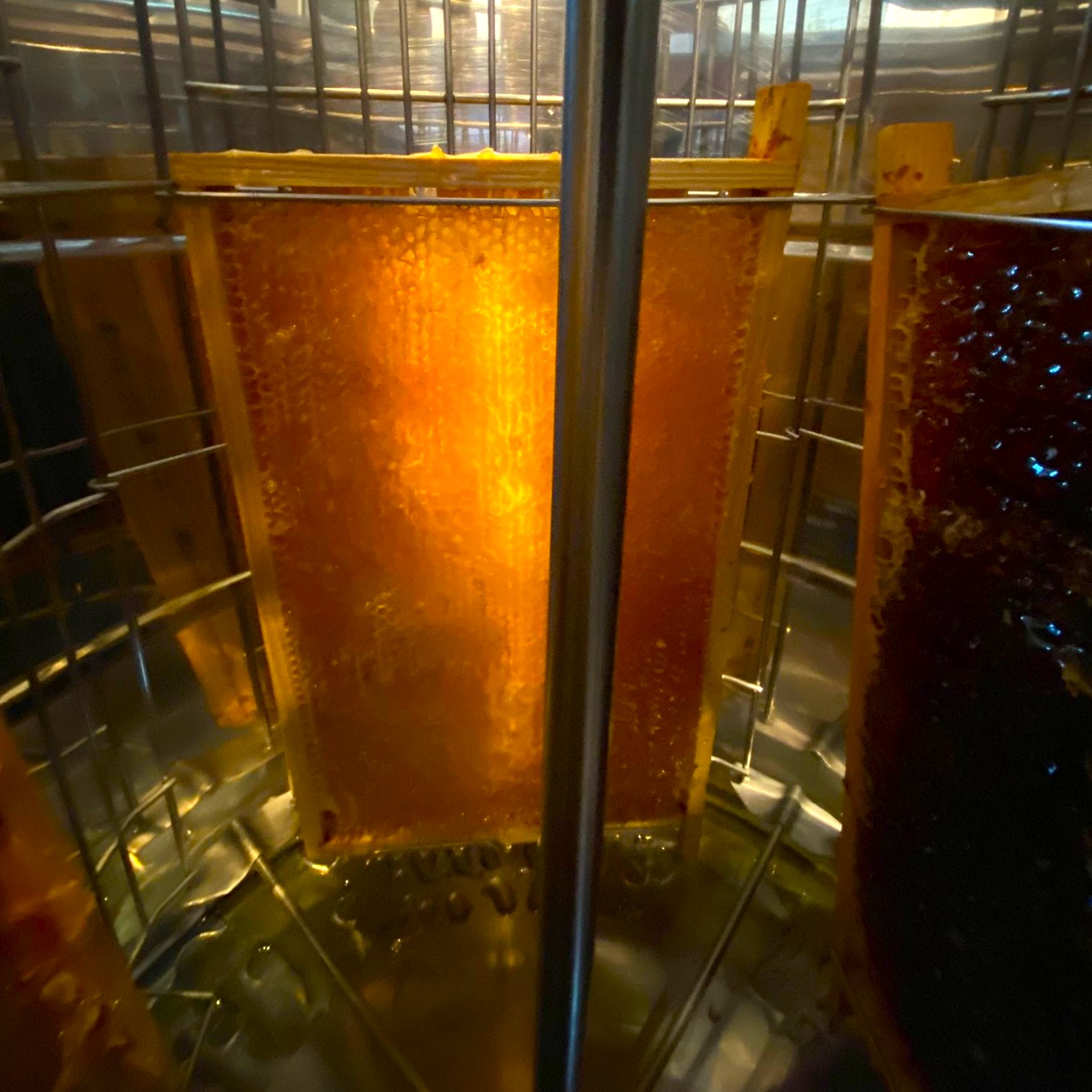 Boobees honing - Rauwe honing van de imker (250g) - Afbeelding 2