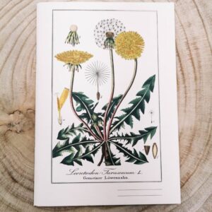 A5 schrift paardenbloem