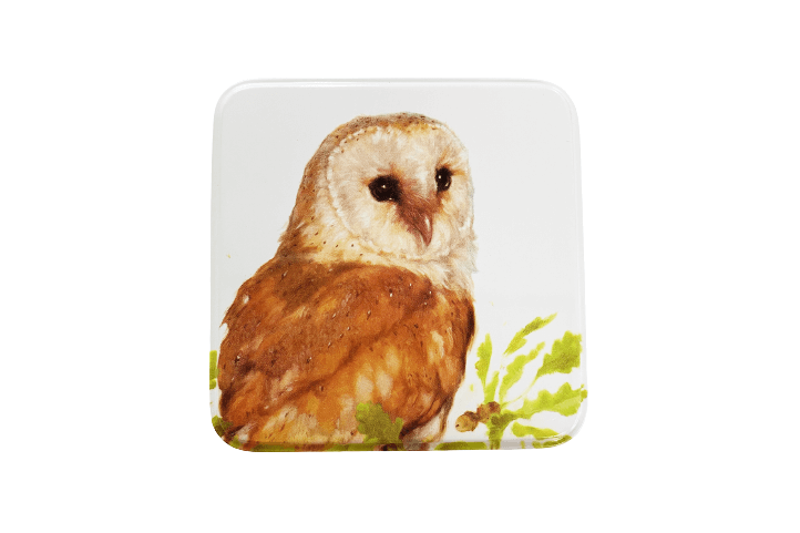 Kerkuil blikken doosje