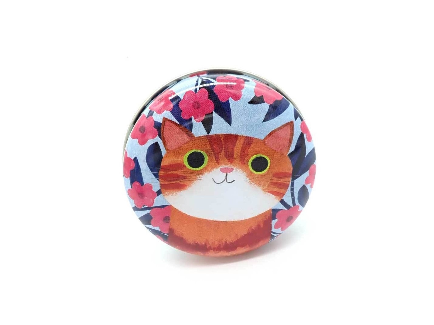 Planet Cat kleine blikken doos rosse tijgerkat