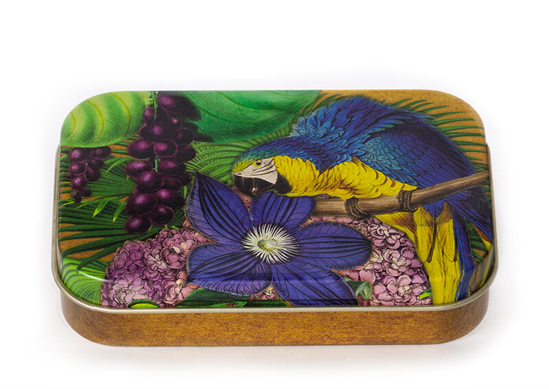 Madame Treacle papegaai kleine blikken doos