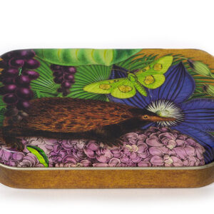 Madame Treacle mierenegel kleine blikken doos