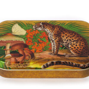 Madame Treacle panter kleine blikken doos