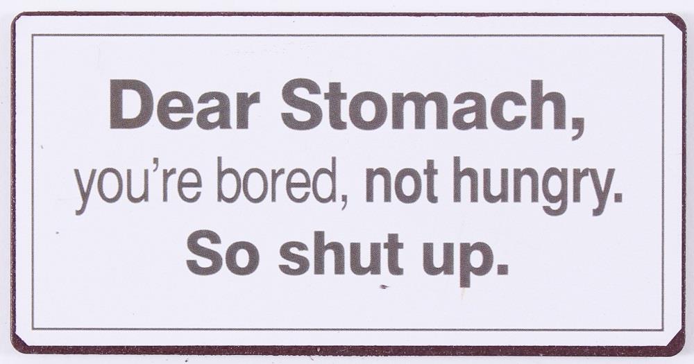 Magneet Dear Stomach