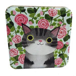 Planet Cat kleine blikken doos grijze tijgerkat