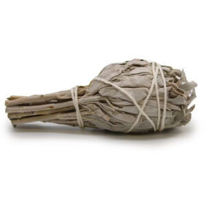 Witte salie smudge stick fakkel (10cm)