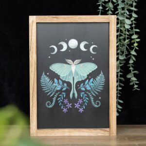 Luna Moth maanvlinder houten wandbord