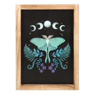 Luna Moth maanvlinder houten wandbord 2