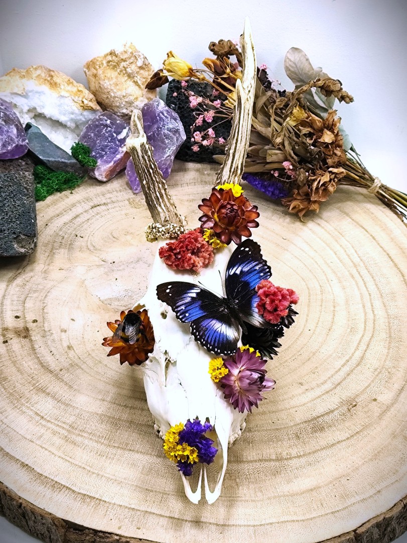Ree schedel met vlinder en hommel