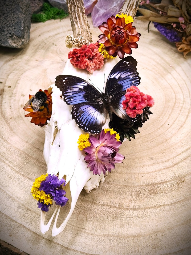 Ree schedel met vlinder en hommel - Image 2